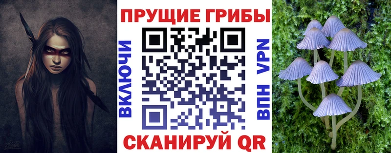 Псилоцибиновые грибы прущие грибы  hydra   Циолковский  купить наркотики цена 
